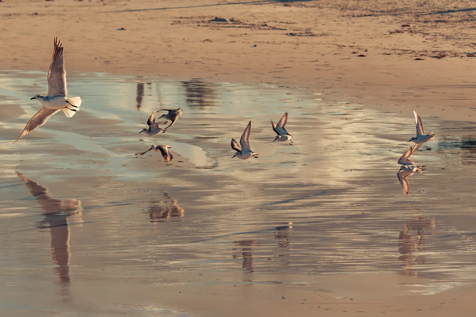 nature photography by JRMGraphy